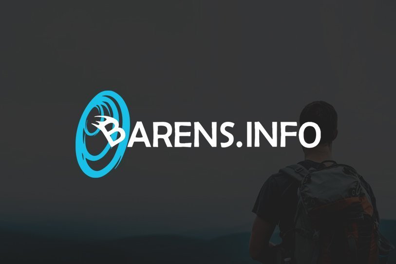 SEO-оптимизация сайта компании “Баренс”