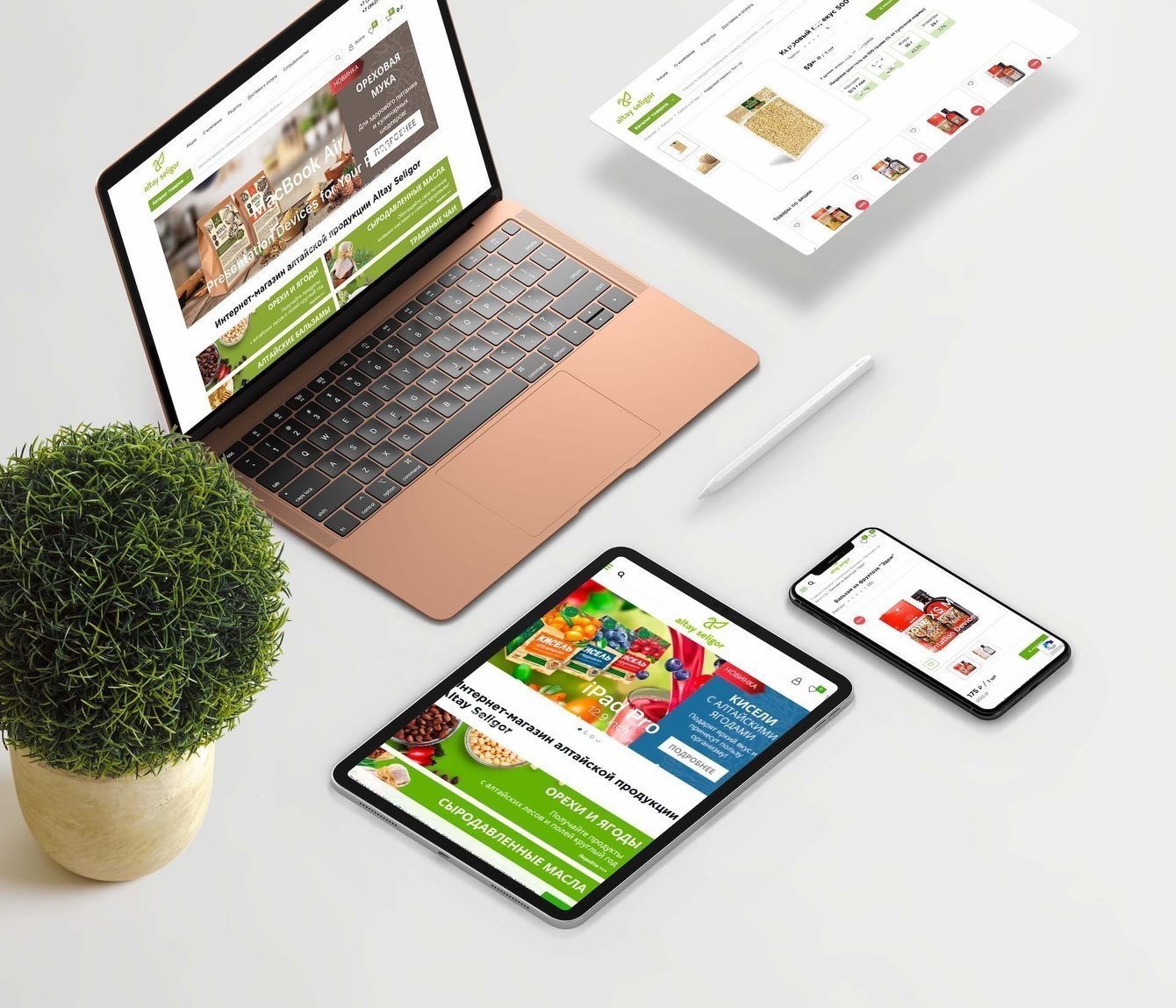 Алтайские бальзамы, чаи и живые масла для здоровья от Altay Seligor