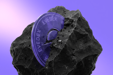 Проектирование и дизайн крипто-биржи и других сервисов экосистемы EVEDEX