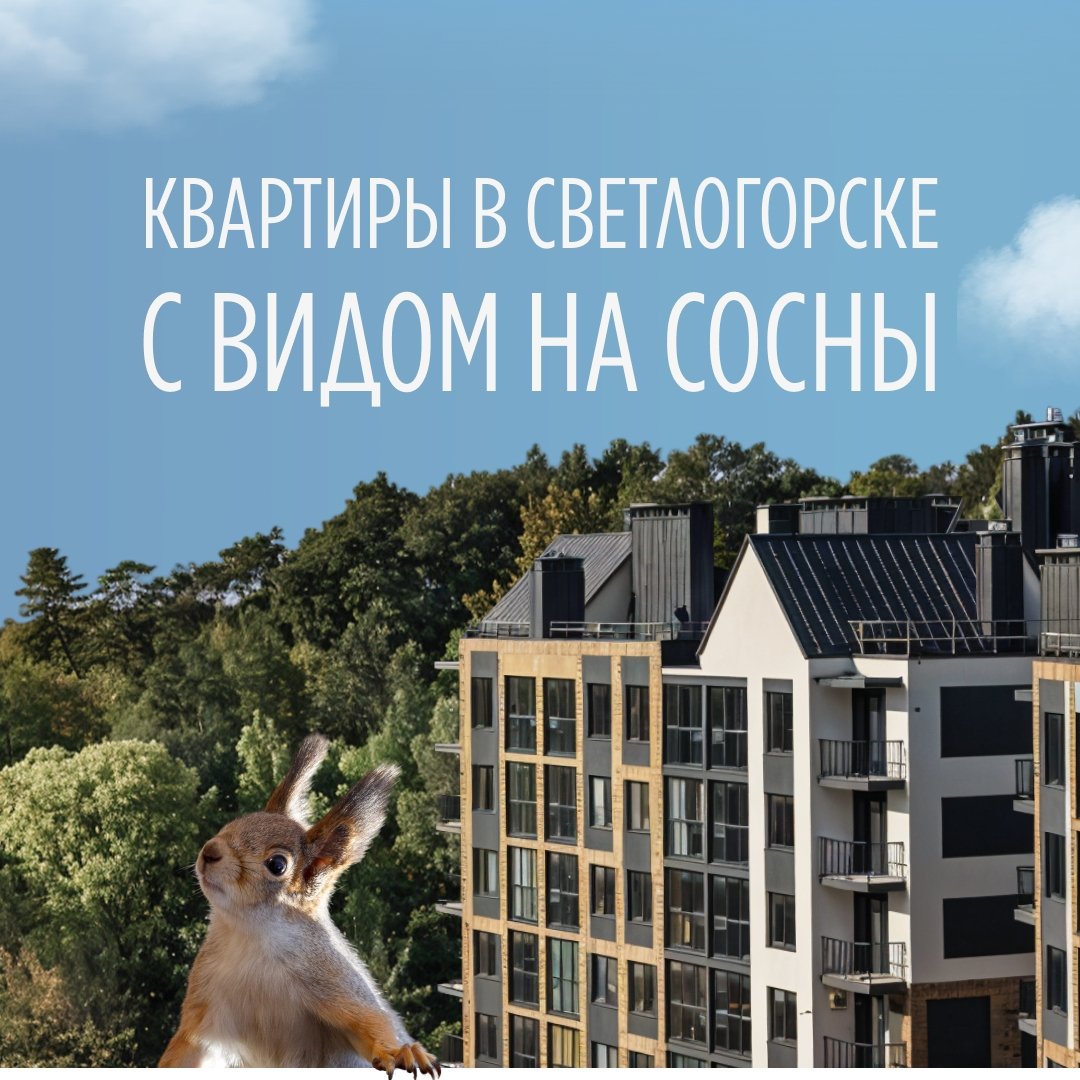 Лесная сказка 2.0: перезапуск SMM и комплексное продвижение