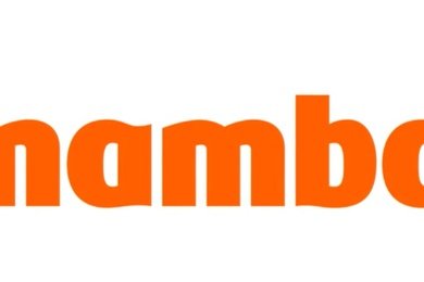 Как поднять самолёт в воздух и заключить союз на небесах — рейс «Мамбы» и авиакомпании «Победа»