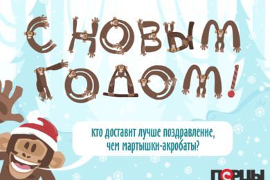 Новогоднее поздравление от мартышек