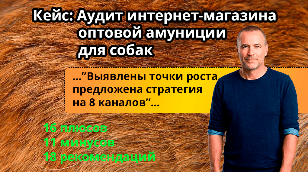 Аудит B2B-интернет-магазина амуниции для собак: 18 шагов к росту продаж