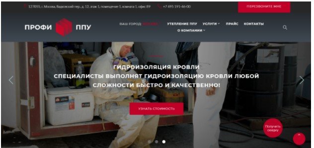 Компания «Профи ППУ»