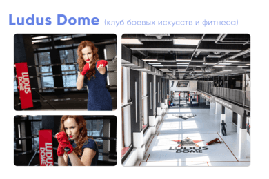Выстроить с нуля отдел маркетинга в Ludus Dome
