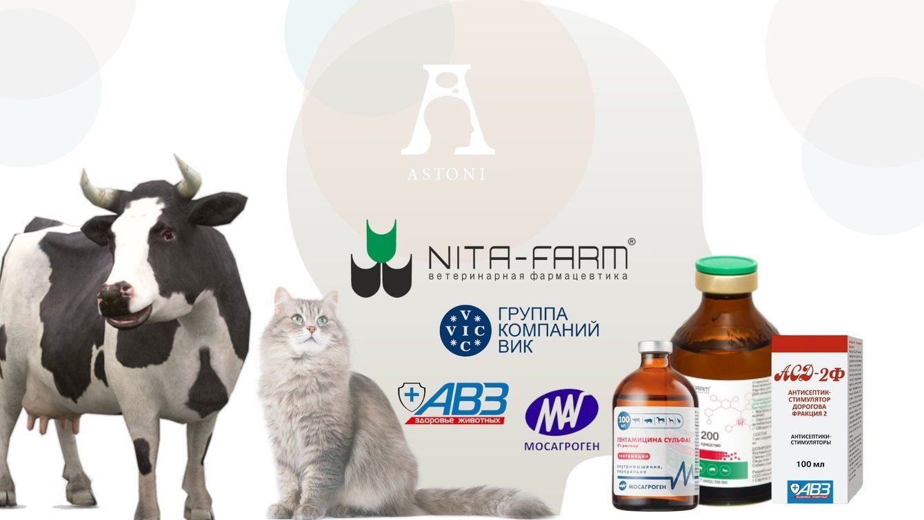 Ветеринарные препараты: продвижение в интернете