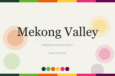 Фирменный стиль для бренда замороженных тропических фруктов Mekong Valley: гастрономический брендинг