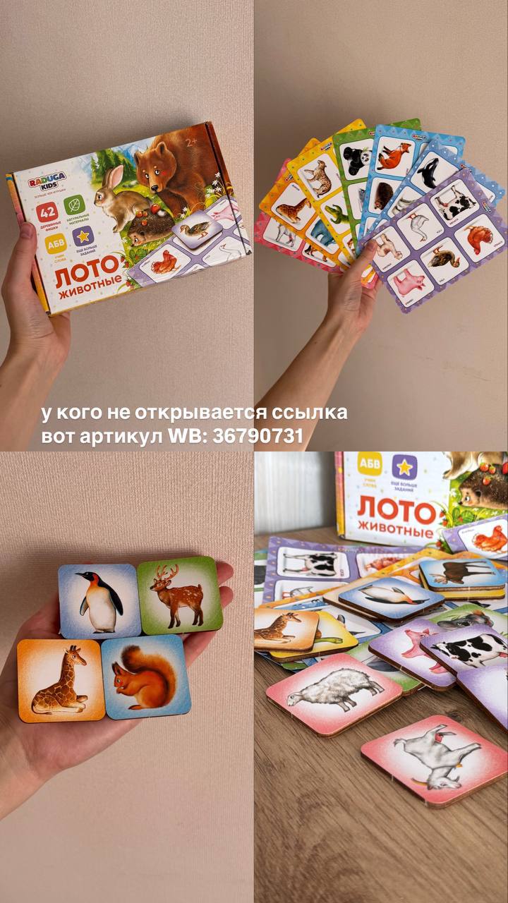 Продвижение бренда  RadugaKids