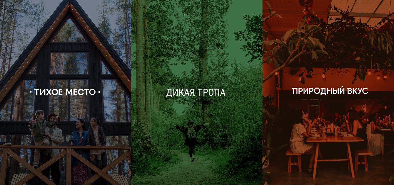 Брендинг туристического комплекса Дикая тропа