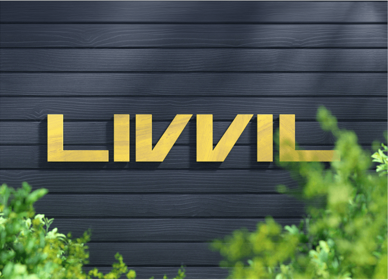 Брендинг и дизайн сайта для компании Livvil