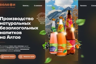 Веб-приложение Вележи Вележи B2B ресурс для производителя напитков