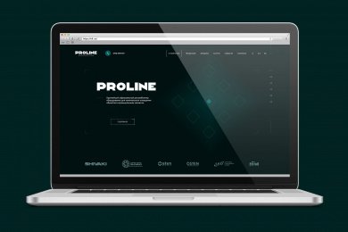 Сайт для крупного дистрибьютора промышленного оборудования ProLine