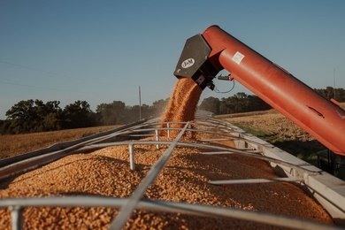 Настроили SEO с нуля и трафик вырос в 7 раз