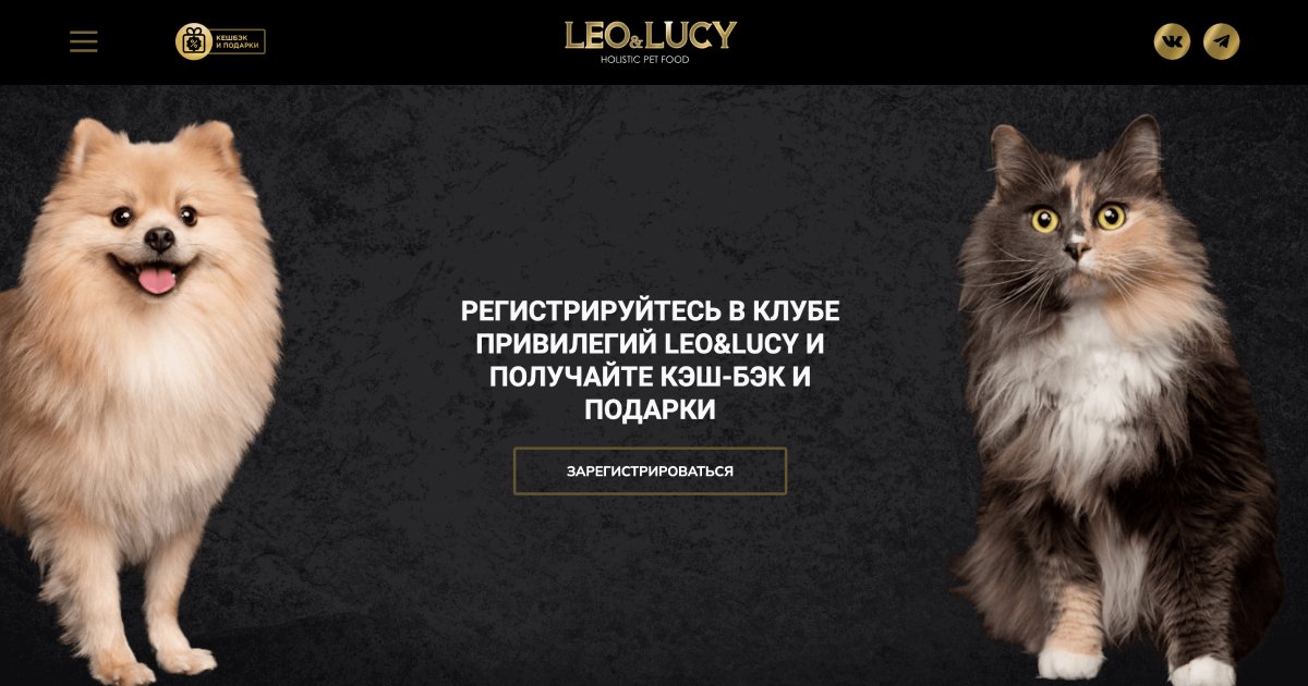 Как мы упаковали отечетственный FMCG продукт - корма "Leo&Lucy"