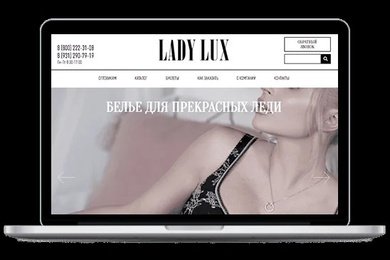 Кейс по Яндекс.Директ для сайта Ladylux.ru