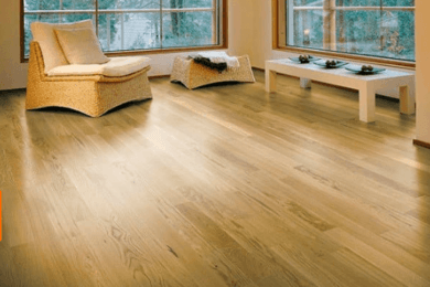 Не продвинули сайт, работали бесплатно, достигли топ-1 и завалили клиента заявками