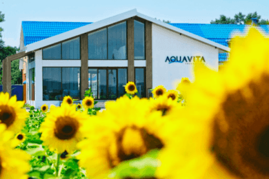 Обновление сайта для Аква-Вита