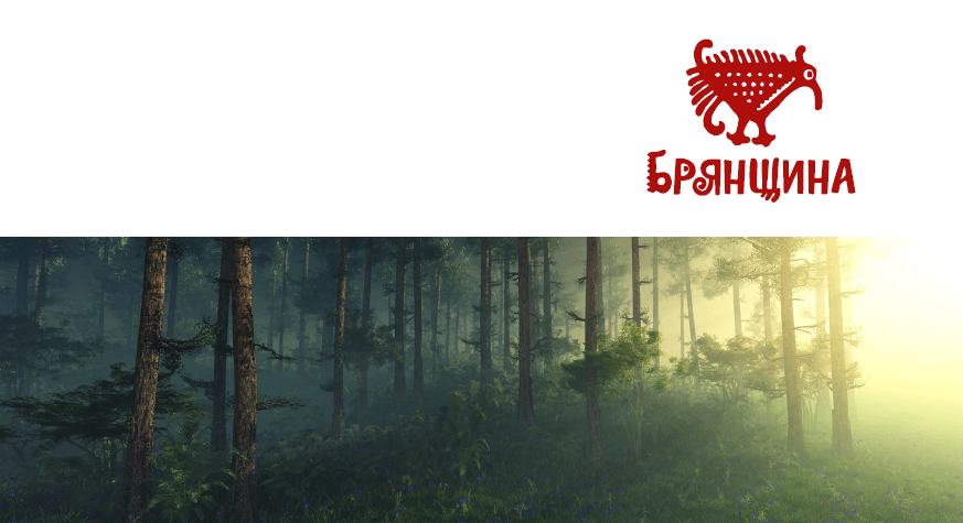 Позиционирование и брендинг туристического кластера Брянской области