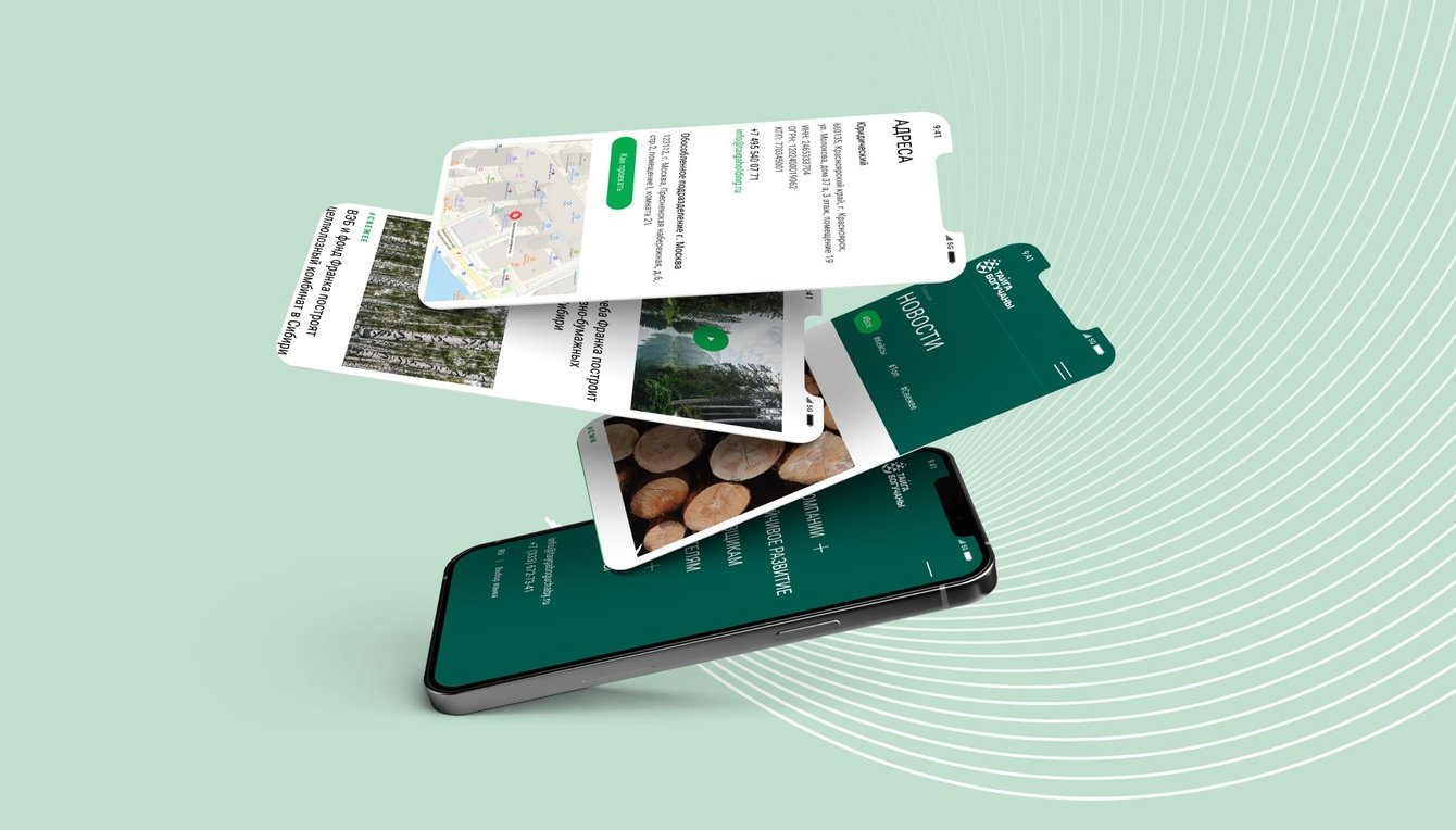 Разработка сайта Тайга Богучаны