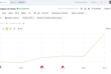 Как мы вывели сайт cdek-cs.ru из тени: рост позиций и трафика за счёт SEO-оптимизации
