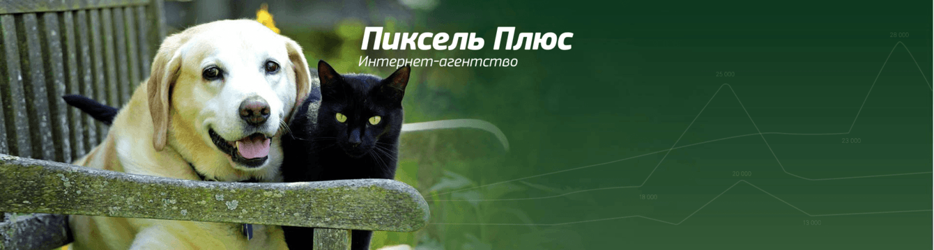 Разбираем кейс роста поискового трафика на 1700% для интернет-магазина Magizoo.ru