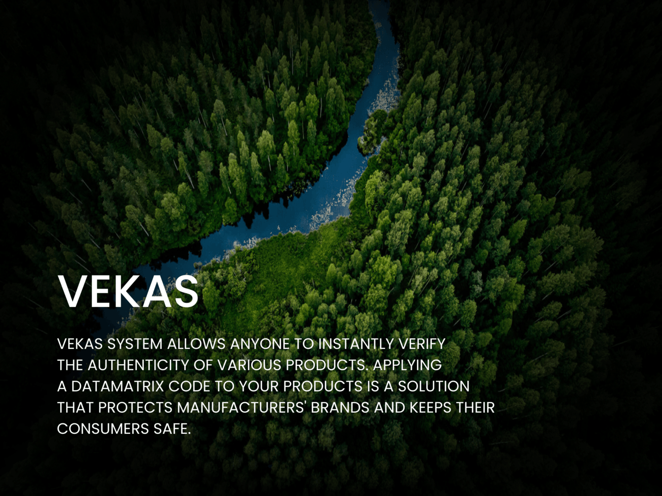 Выход российского бренда на зарубежный рынок. Разработка сайт на английском языке для Vekas