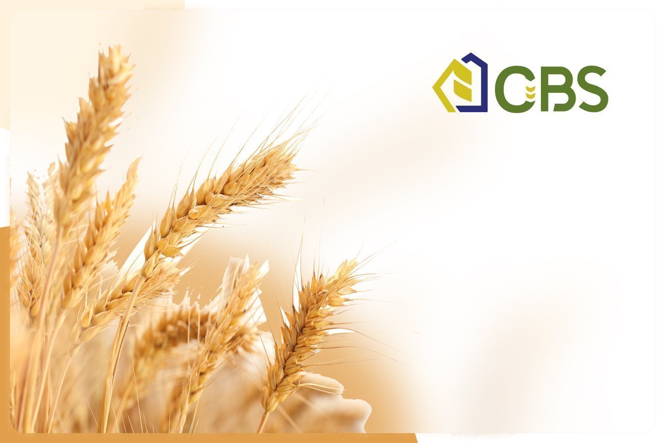 Агропромышленный холдинг CBS Commodities