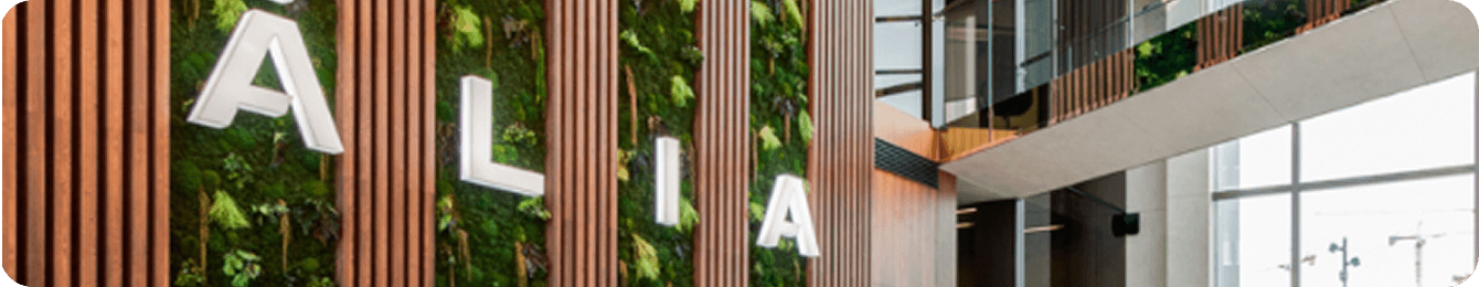 Кейс ALIA: комплексное продвижение сайта с измеримыми результатами