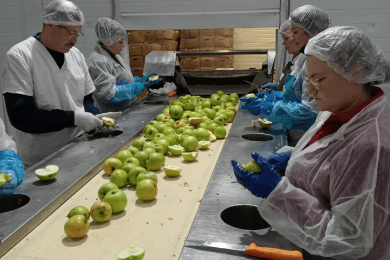 Кадровая лидогенерация для пищевого производства с конверсией в трудоустройство 23%