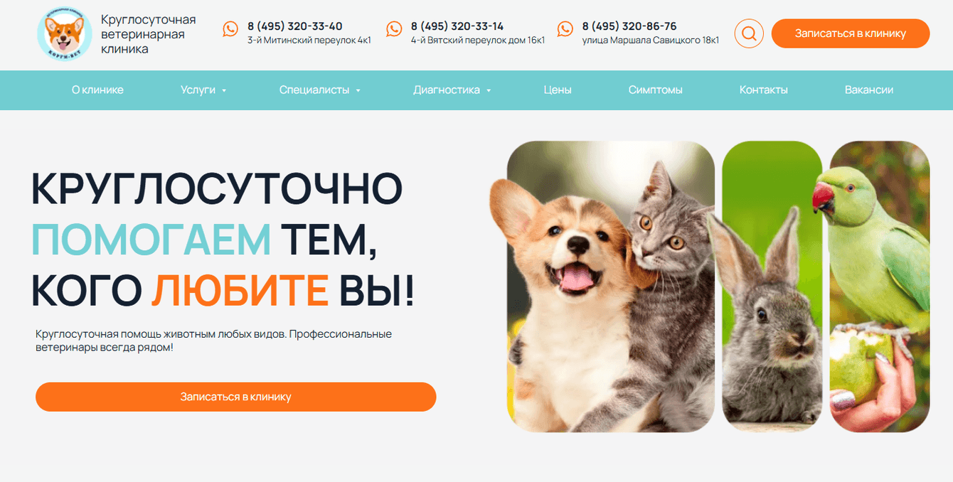 101 заявка в ветеринарную клинику сразу после запуска сайта