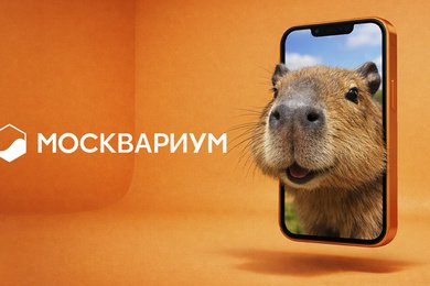 Как обитатели 