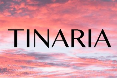 TINARIA (Москва) — рост продаж одежды через ВКонтакте