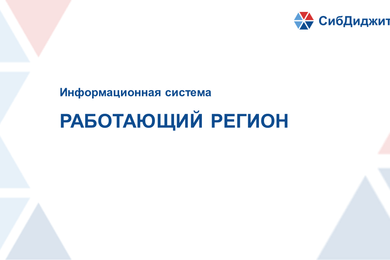 Информационная система «Работающий регион»