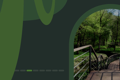 Кейс: разработка презентации для проекта «Природные дороги»