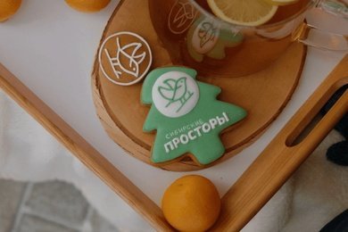 Создание фирменного стиля экопосёлка-парка «‎Сибирские просторы»‎