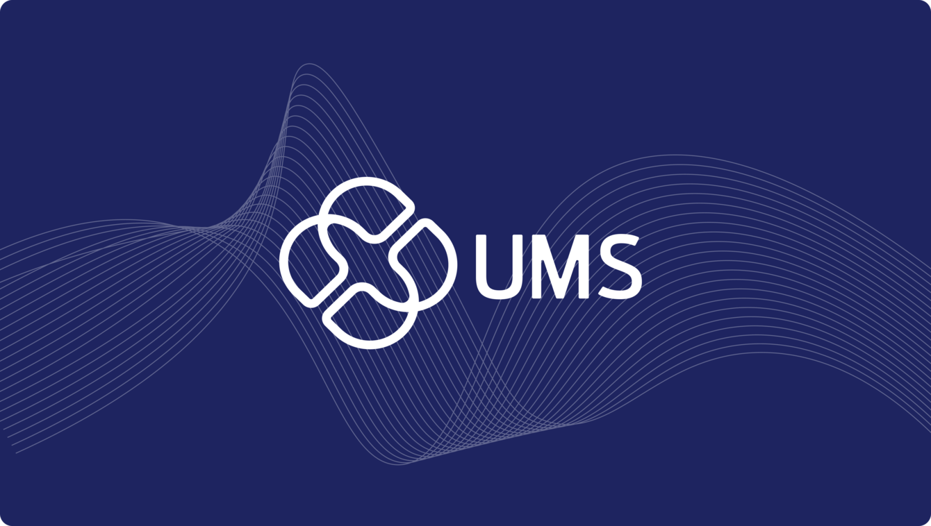 Разработка фирменного стиля для компании "UMS Soft"