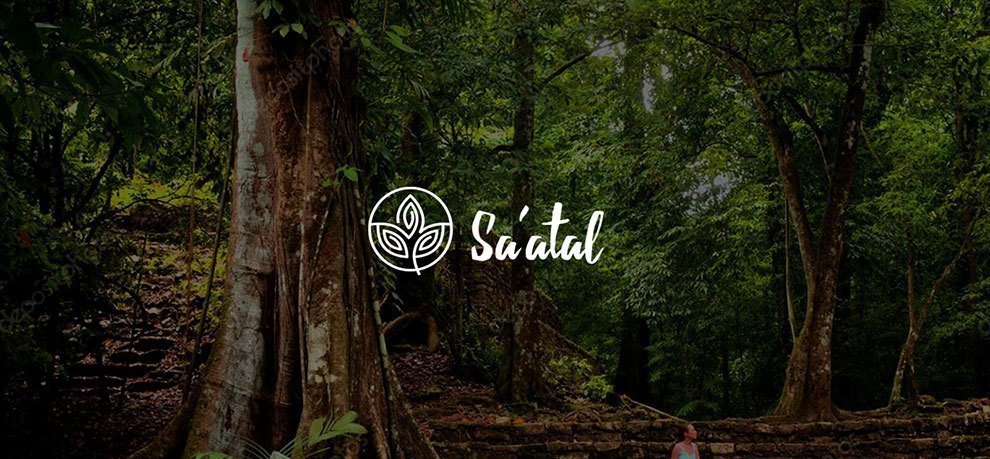 Логотип компании «Sa