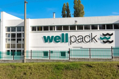 Опыт создания проекта для международной компании WellPack