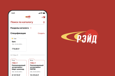 Разработка мобильного приложения «РЭЙД-21»