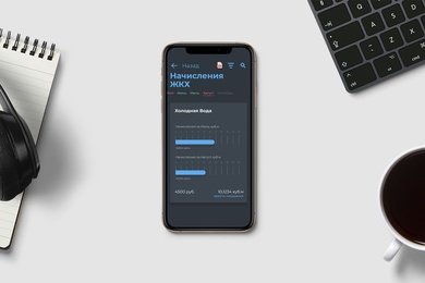 Мобильное приложение 