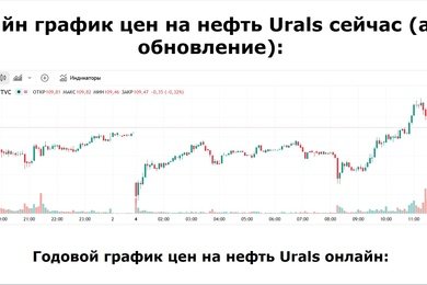 Сделали SEO проект по мониторингу цен на нефть