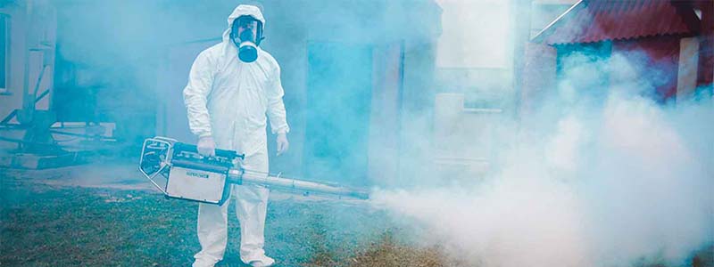 Кейс продвижения службы дезинфекции +200% органического трафика