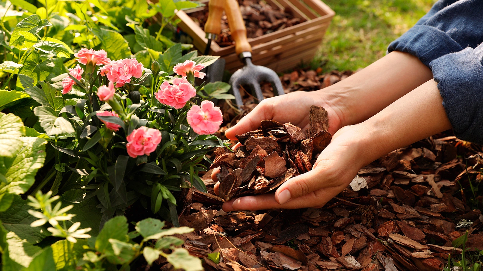 + 7,6 млн ₽ выручки без увеличения бюджета с контекстной рекламы для производителя мульчи