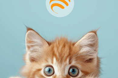 ЯрВет — Мобильное приложение для гипермаркета товаров для животных