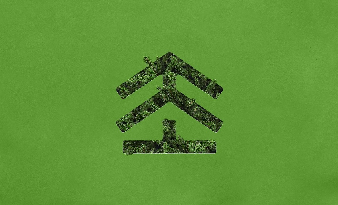 Фирменный стиль и печатная продукция для резиденции «Ёлки»