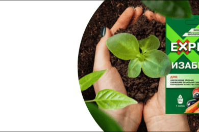 Внутренняя реклама WB: 321 заказ по цене в 5 раз меньше KPI