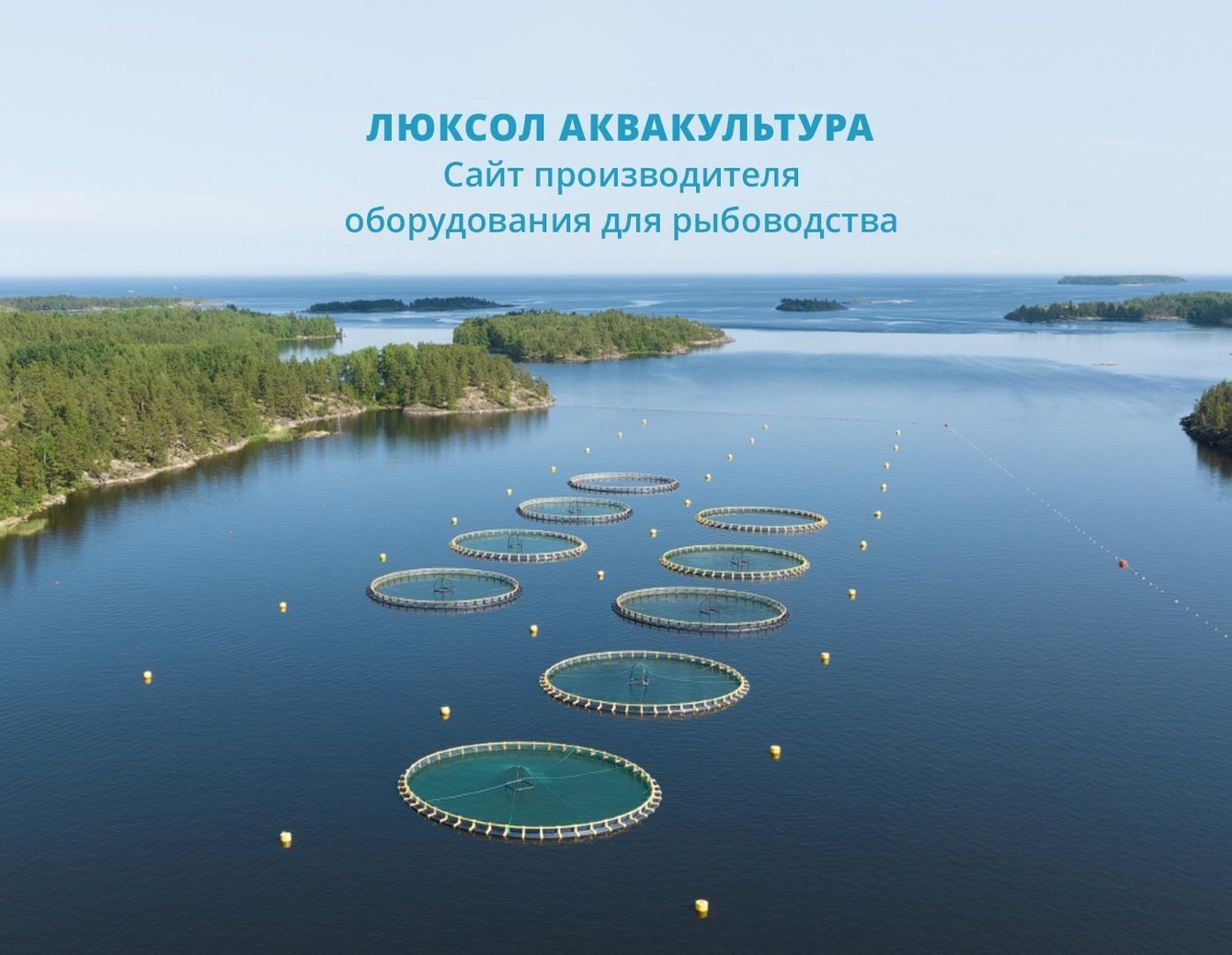 Разработка сайта производителя оборудования для рыбоводства