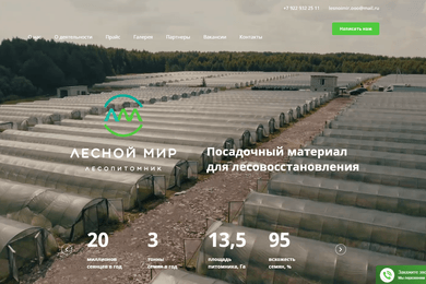 Продвижение сайта «Лесной мир»