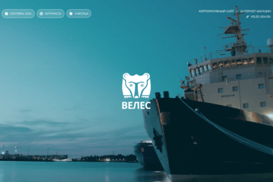 Многостраничный сайт для компании «ВЕЛЕС»