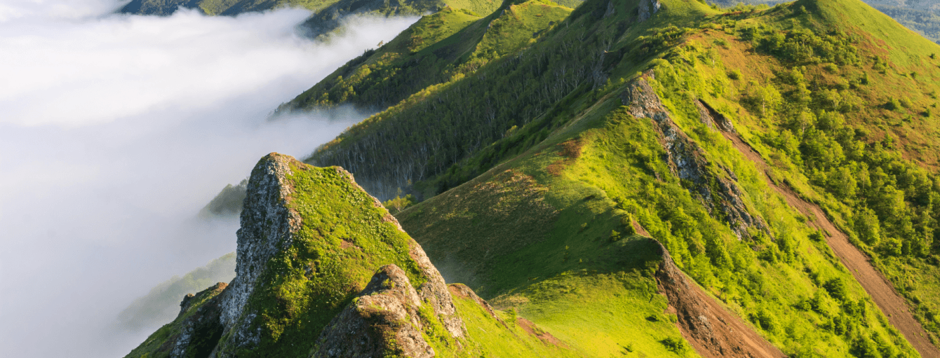 Сопровождение сайта и системы личных кабинетов Корпорации развития Дальнего Востока и Арктики